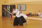 aikido-seminar-13-godina-aikido-kluba-izvor008