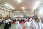 Detalj sa Takemusu aikido seminara u Ljubljani