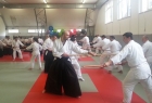 Detalj sa Takemusu aikido seminara u Ljubljani