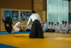 takemusu_aikido_seminar_corallini_2012_45