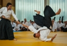 takemusu_aikido_seminar_corallini_2012_49