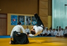 takemusu_aikido_seminar_corallini_2012_77
