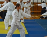 takemusu-aikido-rijeka-seminar-6