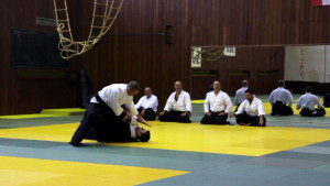 Seminar hrvatskog aikido saveza 2015-2