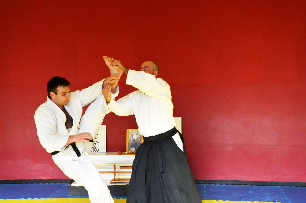 Aikido Rijeka-seminar geri waza